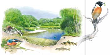 Aquarelles, crayons et feutres Aquarelles, crayons et feutres